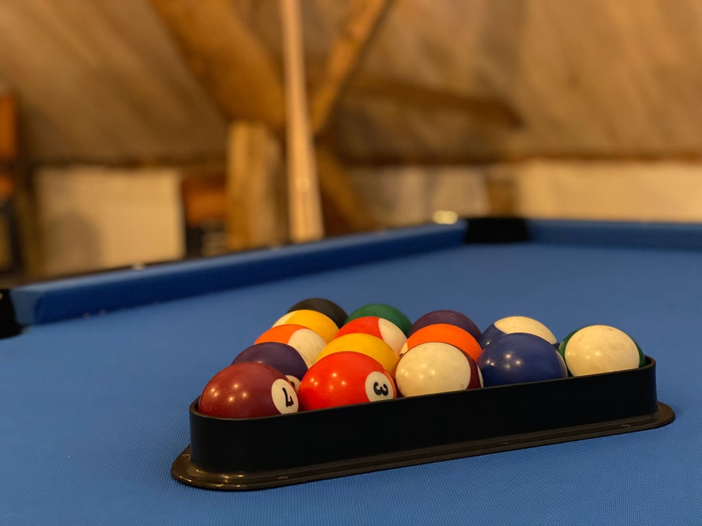 Groepsverblijf op Landgoed De Hoogmolen — foto 60