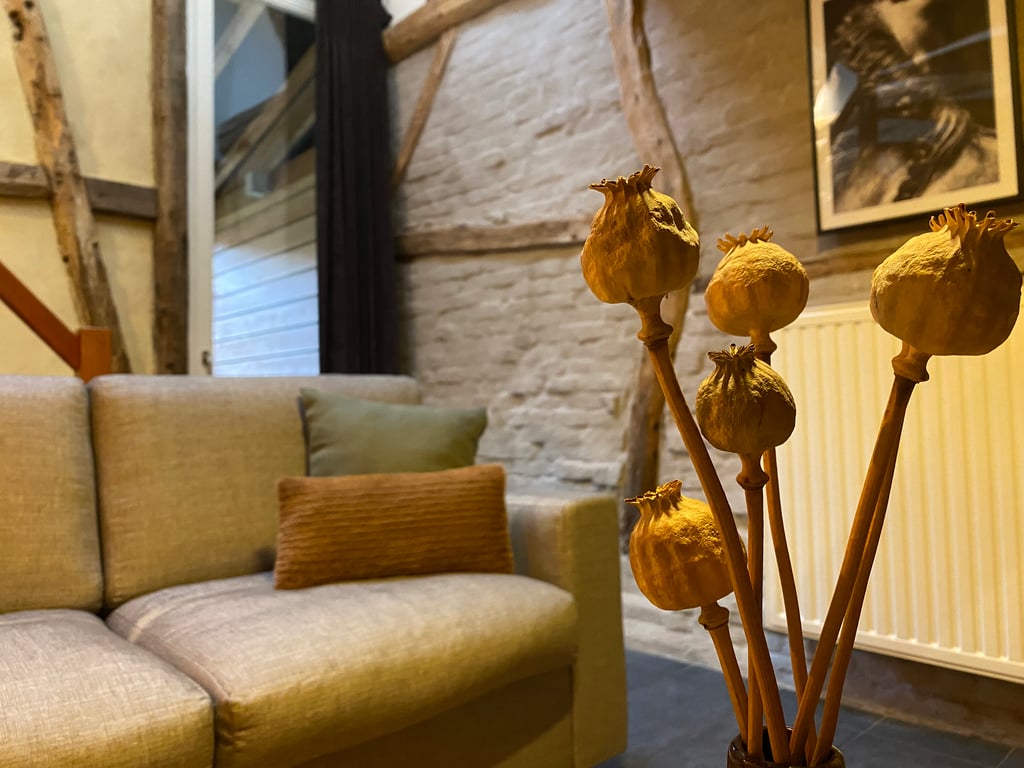 Teambuilding op & rond Landgoed De Hoogmolen — foto 81