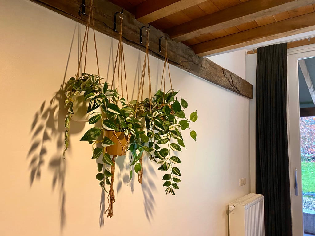 Teambuilding op & rond Landgoed De Hoogmolen — foto 100