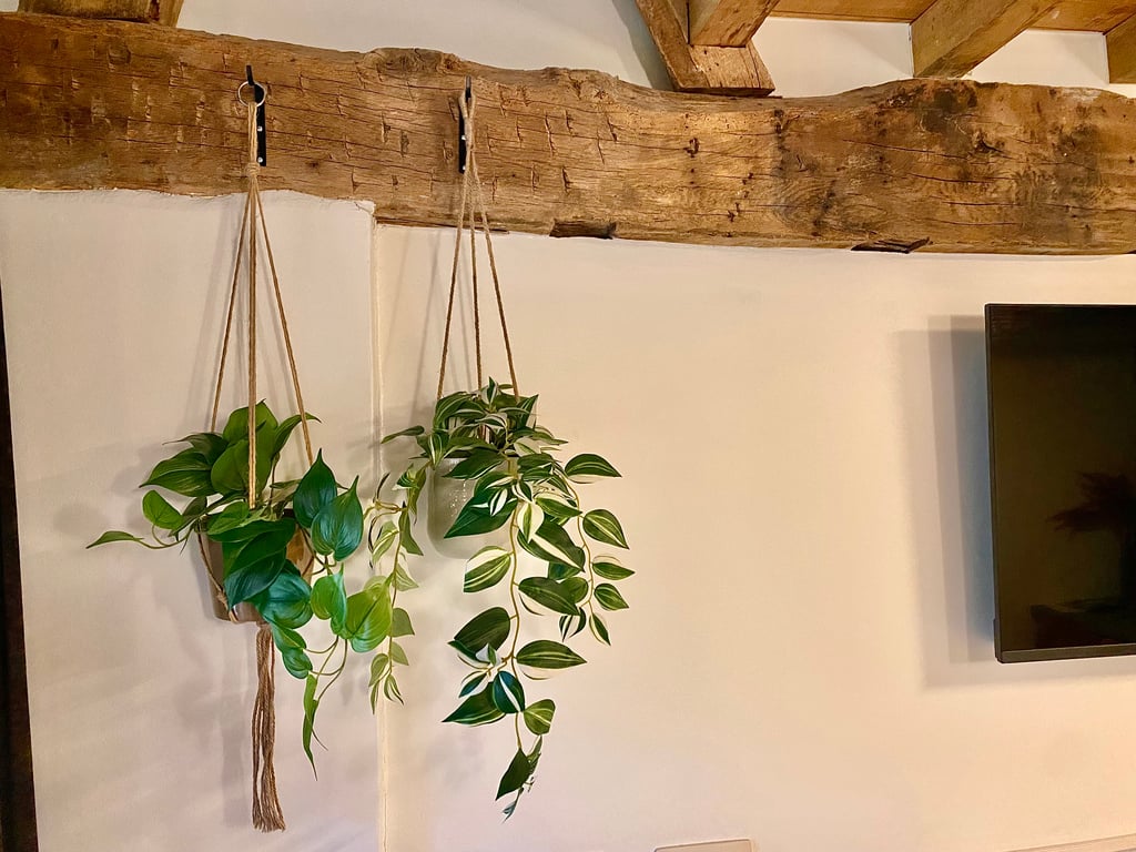 Hoogmolen Verblijf Suite A5 Woonkamer Plantjes · Landgoed De Hoogmolen in Oudsbergen